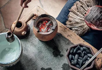 白老在茶烟里玩花生壳2