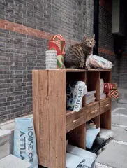 弄堂秀场5