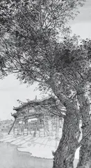 姬文华 墨香四溢 绘就生活诗篇1