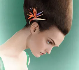 钛金绘就珠宝的诗意画卷6