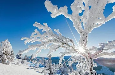 瑞典 高山滑雪 沉浸冰雪世界3