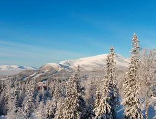瑞典 高山滑雪 沉浸冰雪世界6