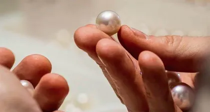 珍珠也疯狂 这波“珍珠热”你看懂了吗?6