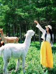 假期不宅家 遍览神州好河山5