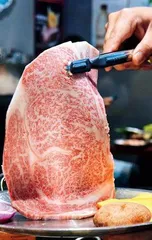 滋养身心 愉悦味蕾14