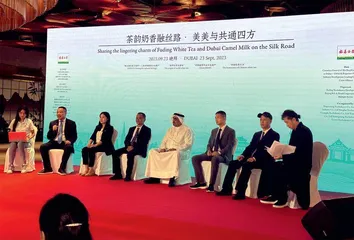 福鼎白茶 世界共享5