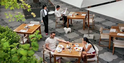 户外美食　夏日不容错过的美好8