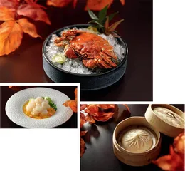 冬日美馔 盘中惊喜1