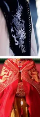 守护根脉 成就未来4