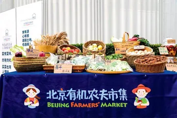 2023“一刻钟品质生活节”正式启动 打造社区居民生活“幸福圈” 10