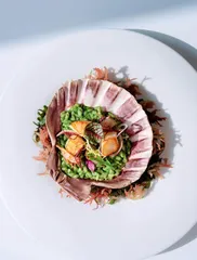 不负春光　不负美食