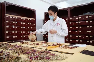 中医药标准化如何破局？