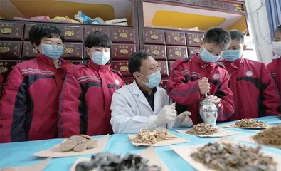 中医药标准化如何破局?1