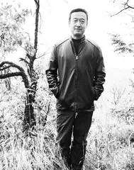 它们