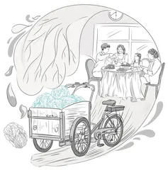 亲爱的大白菜