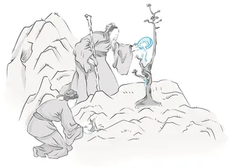 忘记有一盆花