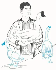 牧鹅放鸭