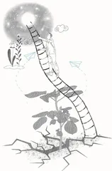 人生的夹缝