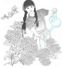 植系青年