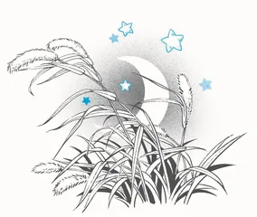 野草的梦