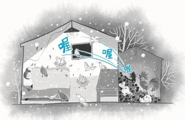 和鸟过冬