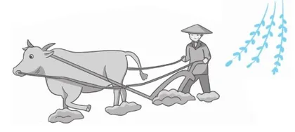 牛是怎么死的