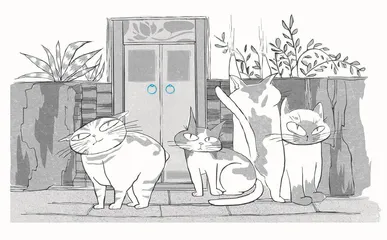 为啥我一关门猫就开始暴走