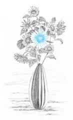 一粒葵花子的秘密奋斗