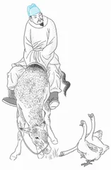 骑 驴