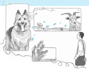 驯化一只山羊、一条狗或者一粒小麦