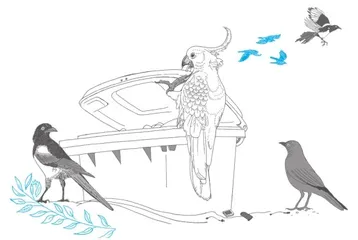 像鸟儿一样