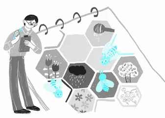 蜂群里的经济学