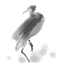 狼与鹭鸶