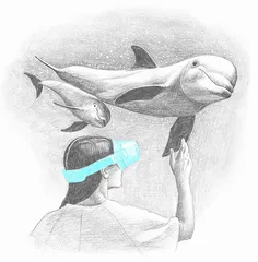 移民到元宇宙，靠谱吗