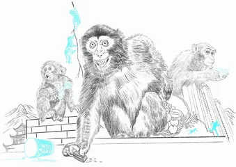 有多少贵州人，被本地猴子追着打