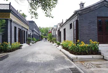 守护古树7