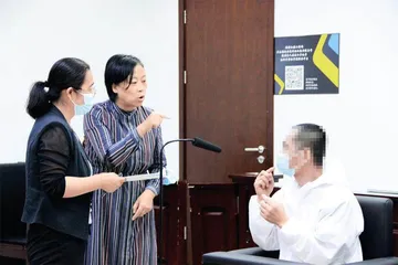 在法庭上说“第二母语”的人1