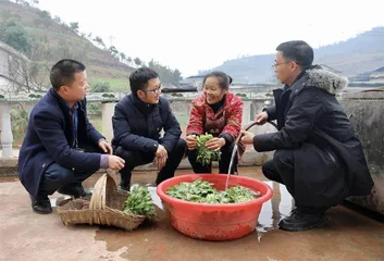 俯身“大抓基层”让监督有力度更有温度