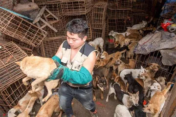直播江湖:活在流量与算法里的主播们1