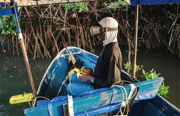 塞内加尔女孩:用人工智能消除疟疾3