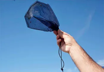 虫媒传染病流行,法国灭蚊迎奥运2