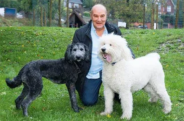 伦敦恶犬袭人:治狗须先治人3