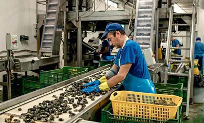 意大利戈罗:蛤蜊与蟹不可兼得3