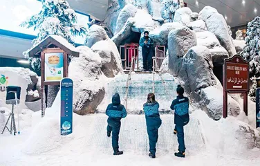 迪拜:巨富底下好乘凉2