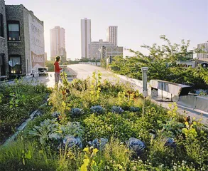 屋顶花园1