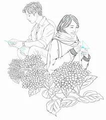 企鹅情书