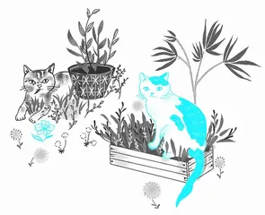 天台上的猫中医