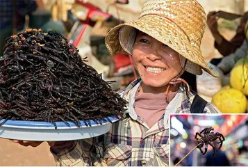 舌尖上的狂欢5