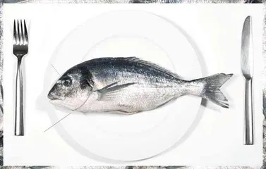 鱼真的是健康食品吗？