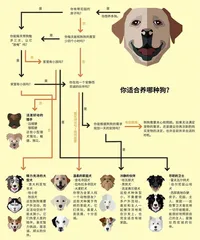 你适合养哪种狗？
